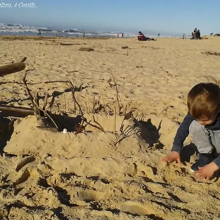 Le Nid Aureilhan (Landes)