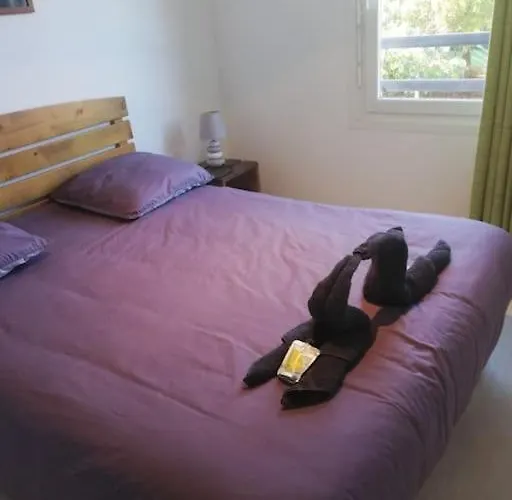 Appartement Le Nid *