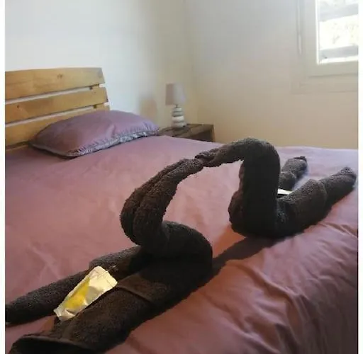 Appartement Le Nid Aureilhan (Landes)